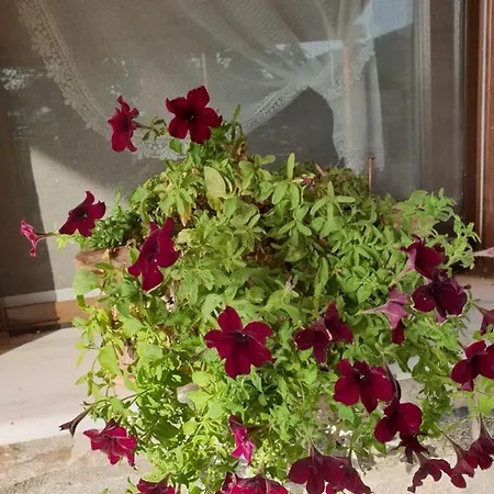 Mavridis House Prázdninový dům *