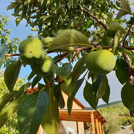 Holiday home Mavridis House *
