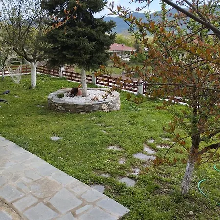 Prázdninový dům Mavridis House