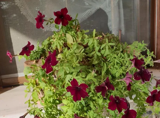 Mavridis House Сasa de vacaciones *