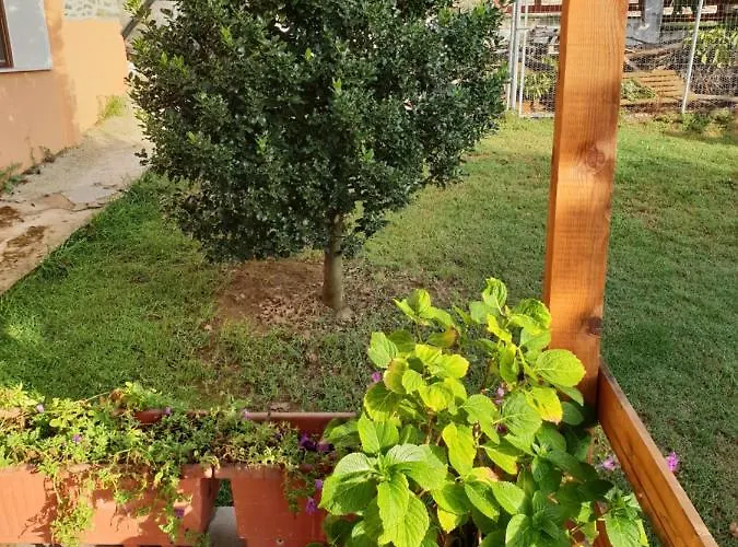 Mavridis House Eleftheroupoli